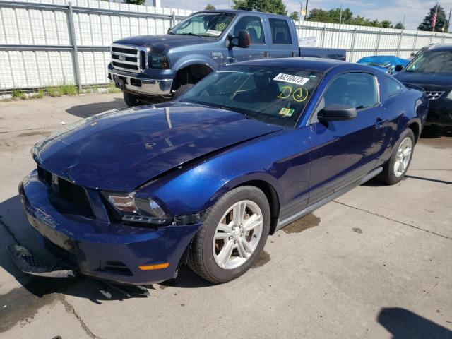 ford mustang 2010 1zvbp8an6a5172614