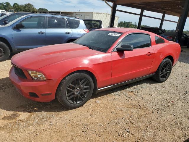 ford mustang 2010 1zvbp8an6a5175254