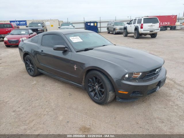 ford mustang 2010 1zvbp8an7a5126189