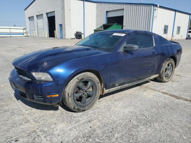 ford mustang 2010 1zvbp8an7a5128069