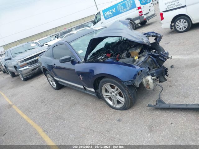 ford mustang 2010 1zvbp8an7a5131179