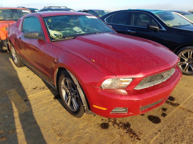 ford mustang 2010 1zvbp8an7a5155871