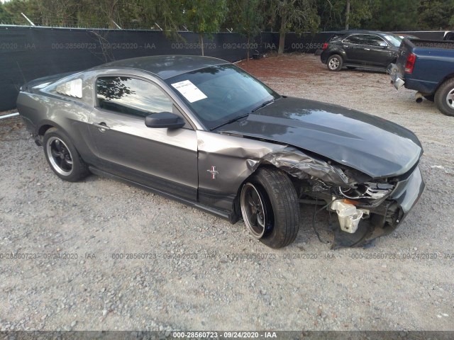 ford mustang 2010 1zvbp8an7a5173741