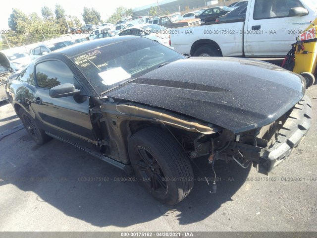 ford mustang 2010 1zvbp8an7a5176848