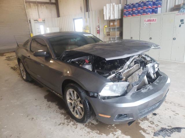 ford mustang 2010 1zvbp8an8a5100989