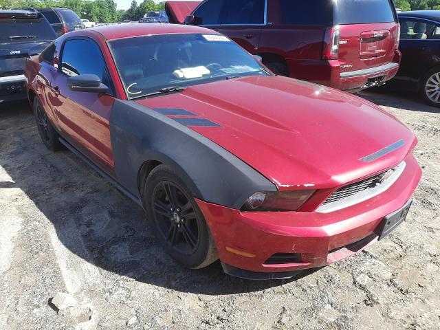 ford mustang 2010 1zvbp8an8a5111801