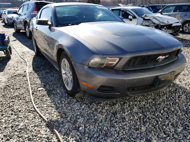 ford mustang 2010 1zvbp8an8a5115444