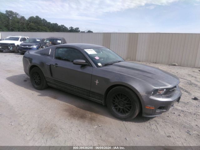 ford mustang 2010 1zvbp8an8a5131675