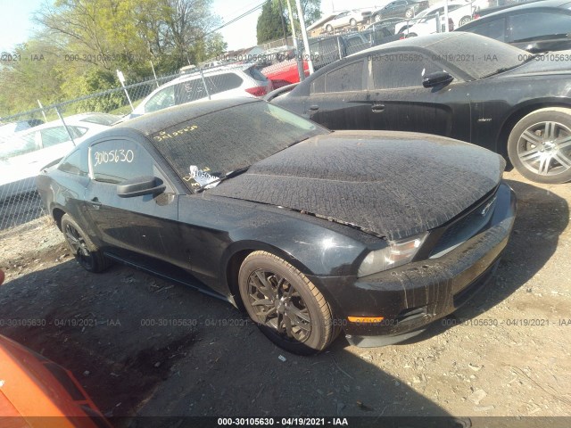 ford mustang 2010 1zvbp8an8a5133314