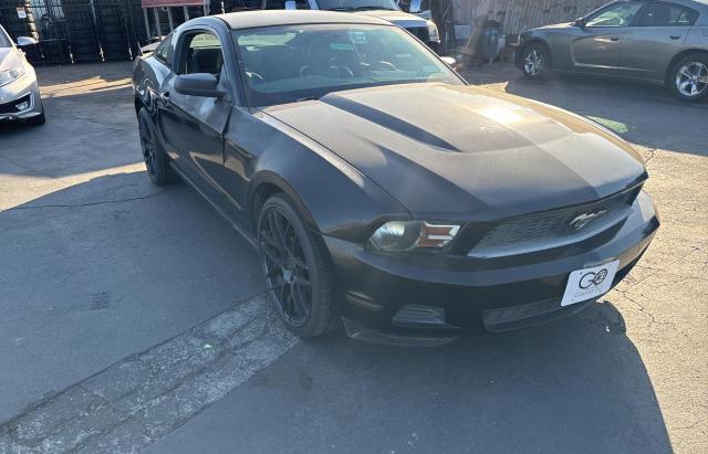 ford mustang 2010 1zvbp8an8a5160559