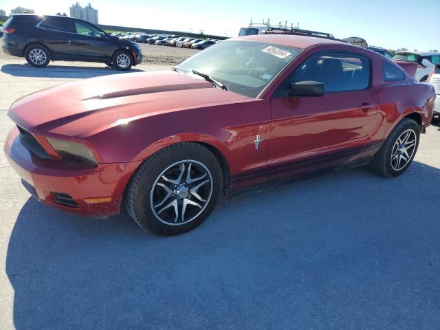 ford mustang 2010 1zvbp8anxa5128146