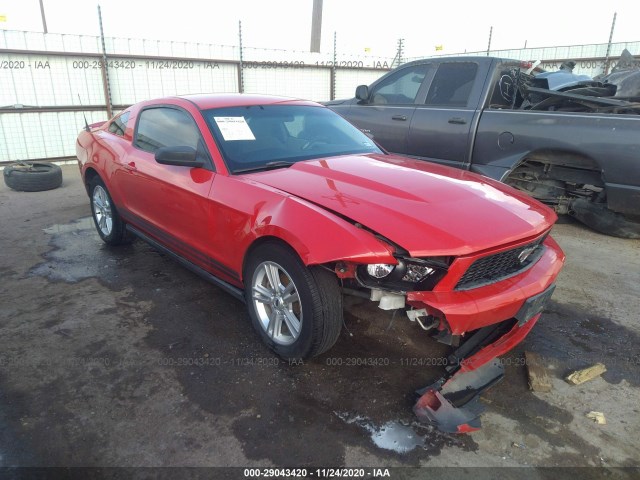 ford mustang 2010 1zvbp8anxa5136361