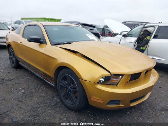 ford mustang 2010 1zvbp8anxa5137574