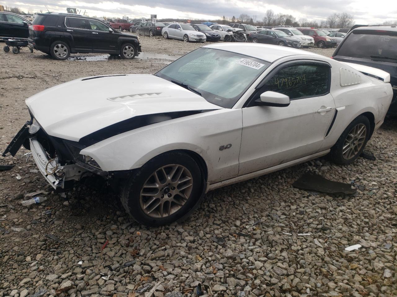 ford mustang 2013 1zvbp8cf3d5233136