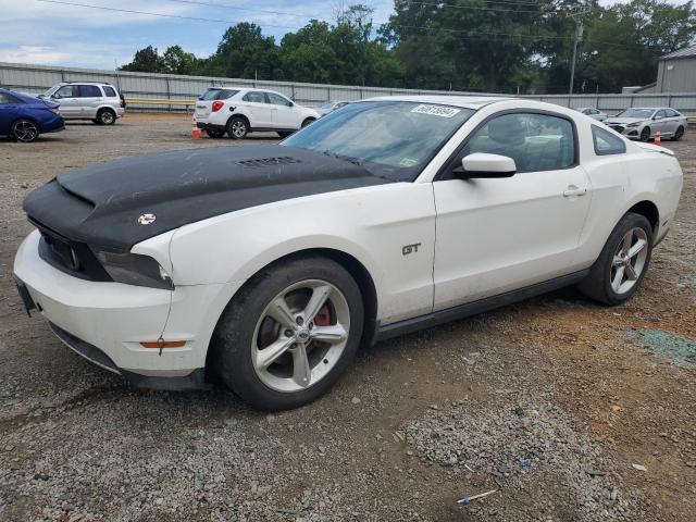 ford mustang 2010 1zvbp8ch0a5120340