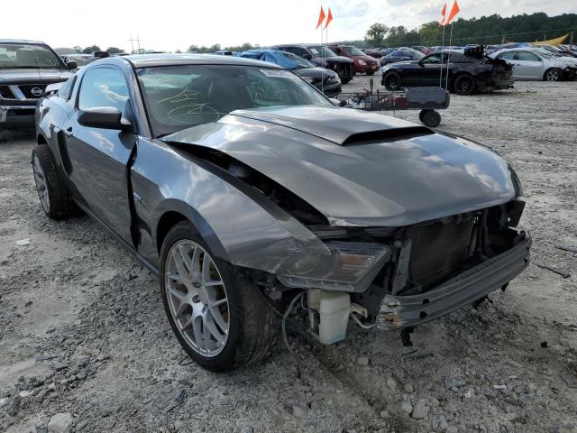 ford mustang gt 2010 1zvbp8chxa5153278