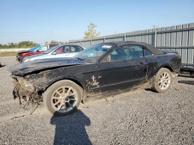 ford mustang 2011 1zvbp8em1b5121038