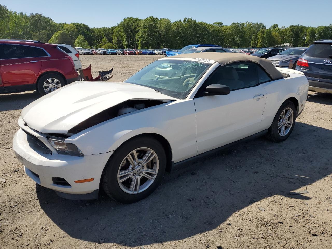 ford mustang 2011 1zvbp8em2b5150435