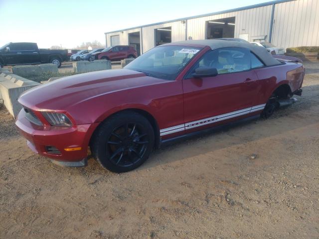 ford mustang 2011 1zvbp8em8b5126642