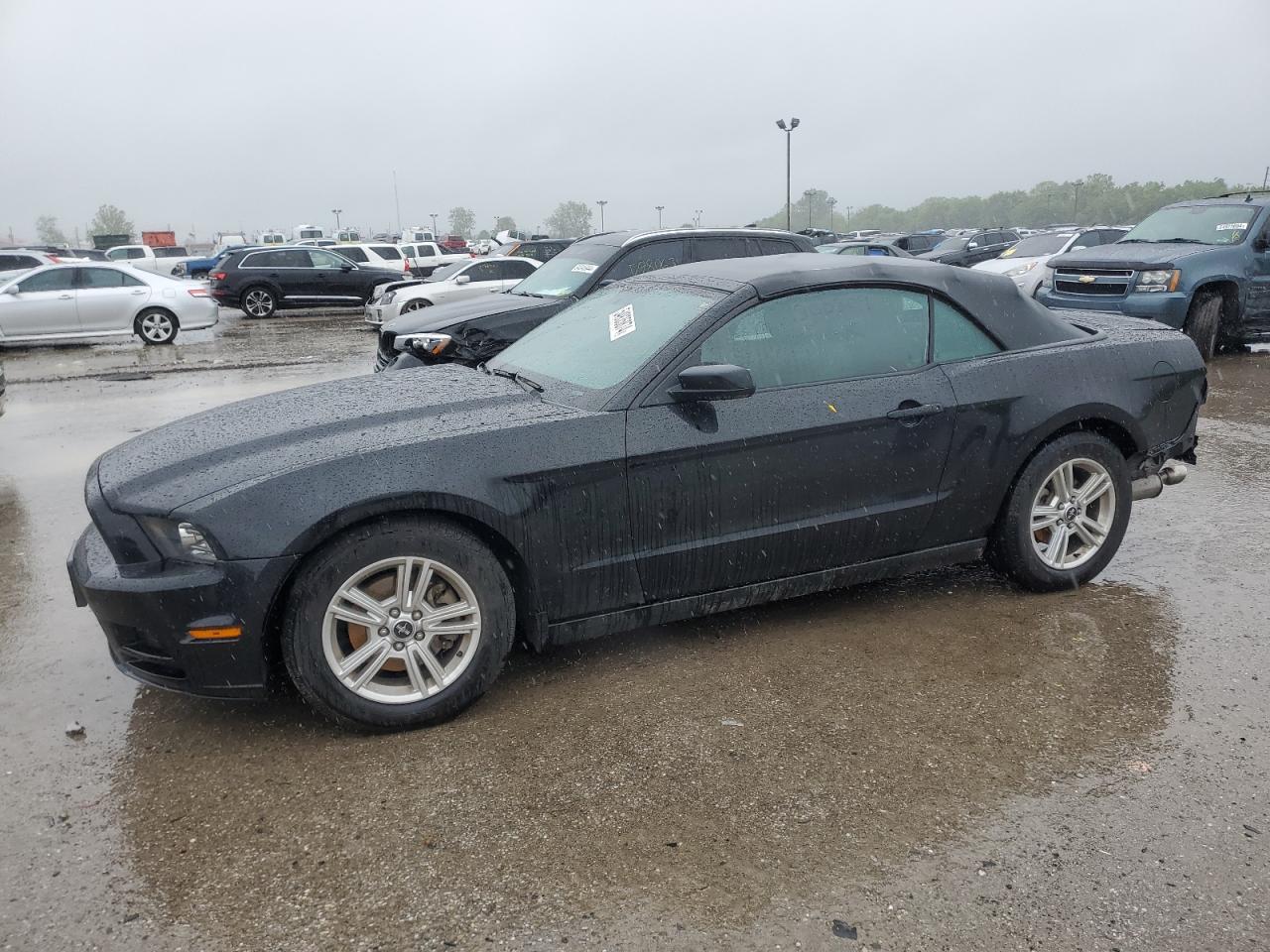 ford mustang 2014 1zvbp8em8e5300309