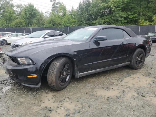 ford mustang 2010 1zvbp8en1a5127820