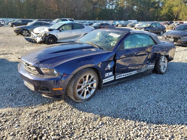 ford mustang 2010 1zvbp8en6a5140546