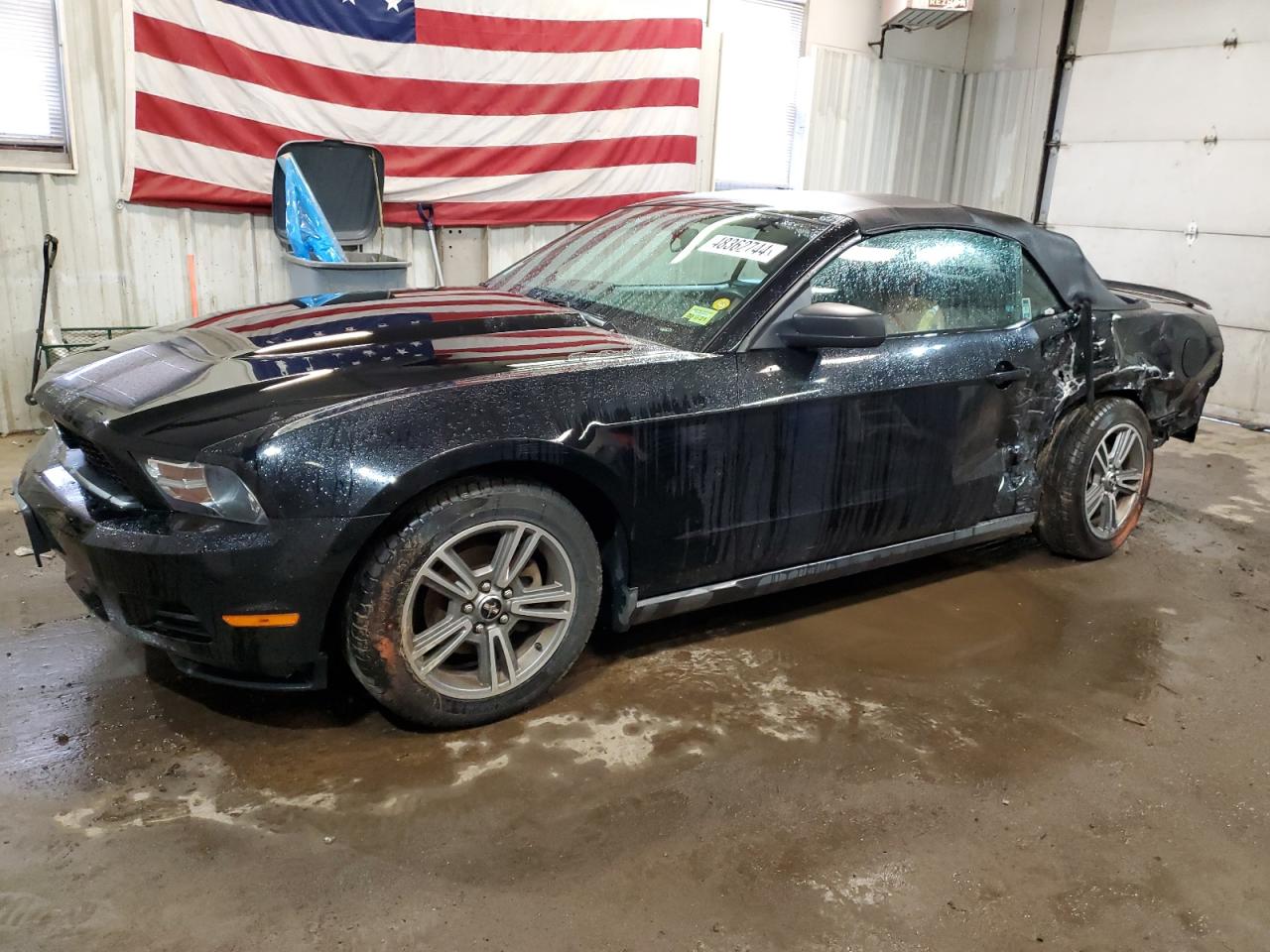 ford mustang 2010 1zvbp8enxa5127816