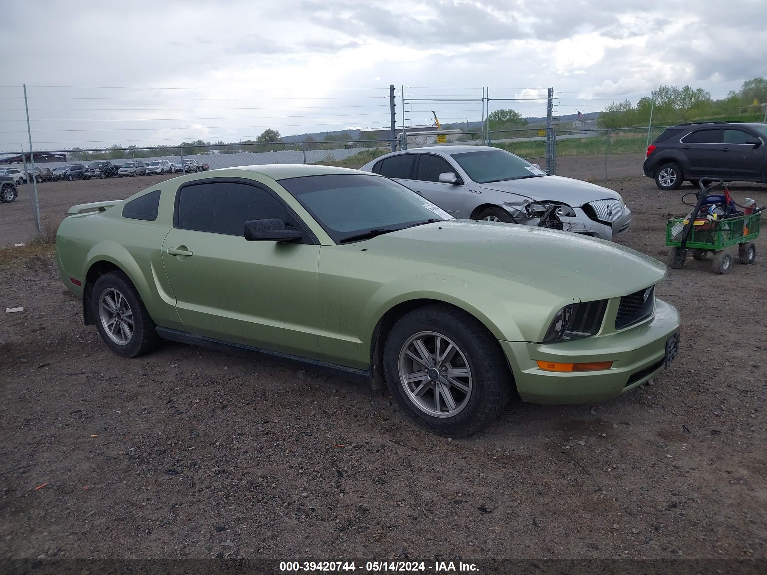 ford mustang 2005 1zvft80n055122201