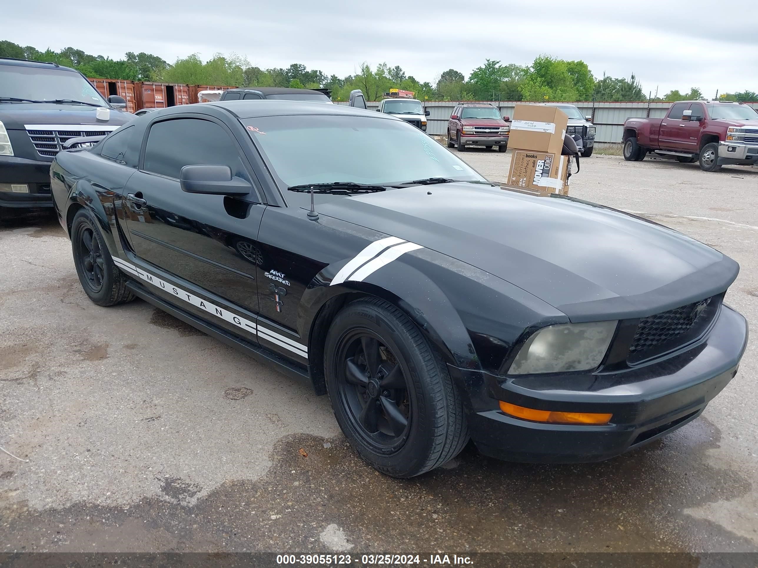 ford mustang 2005 1zvft80n055123459