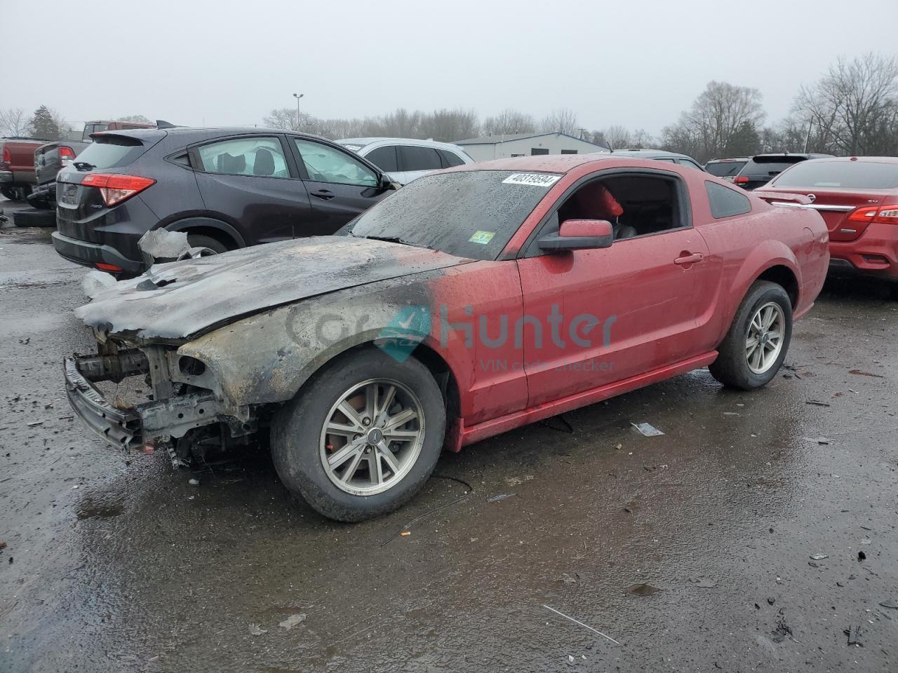 ford mustang 2005 1zvft80n055136518