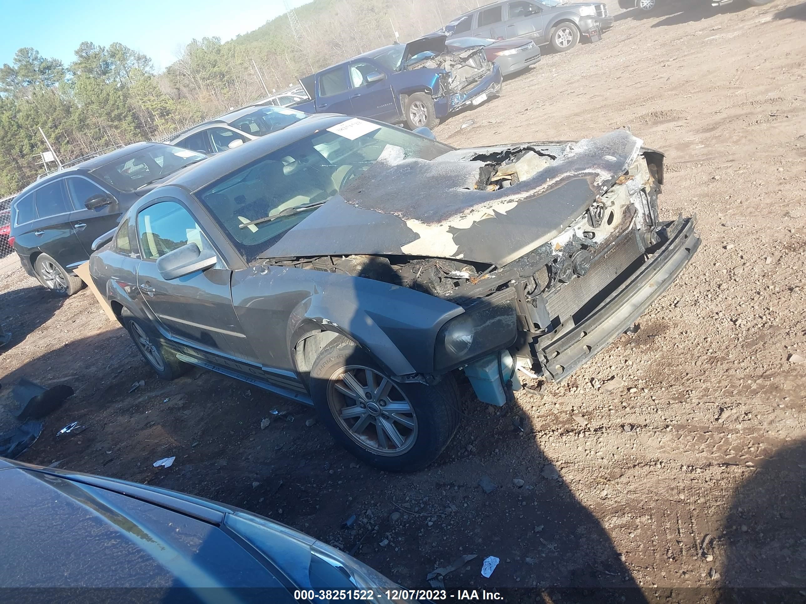 ford mustang 2005 1zvft80n055154453