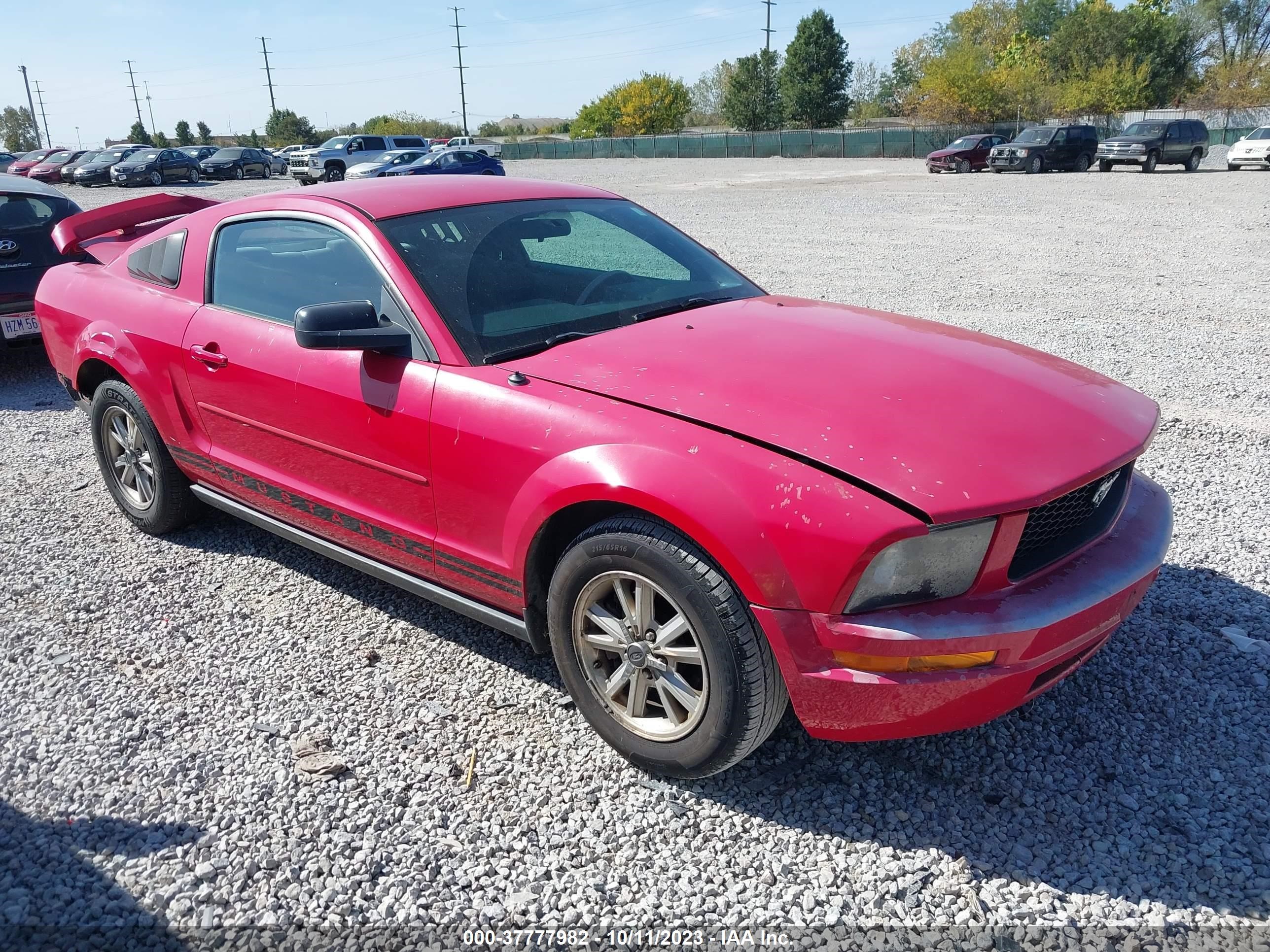 ford mustang 2005 1zvft80n055177859