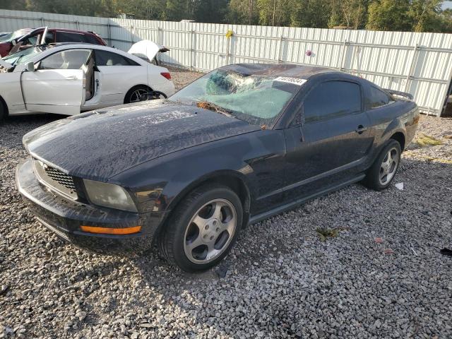 ford mustang 2005 1zvft80n055180079