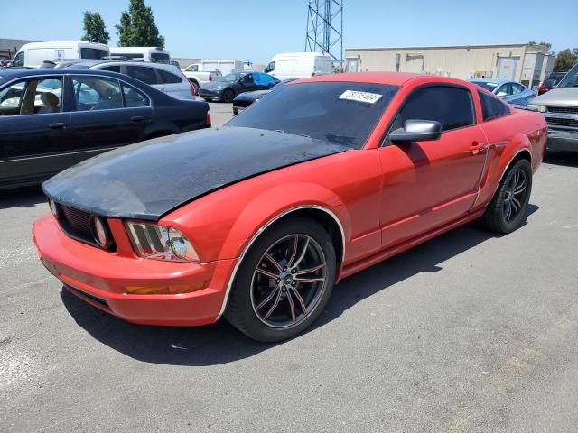 ford mustang 2005 1zvft80n055185069