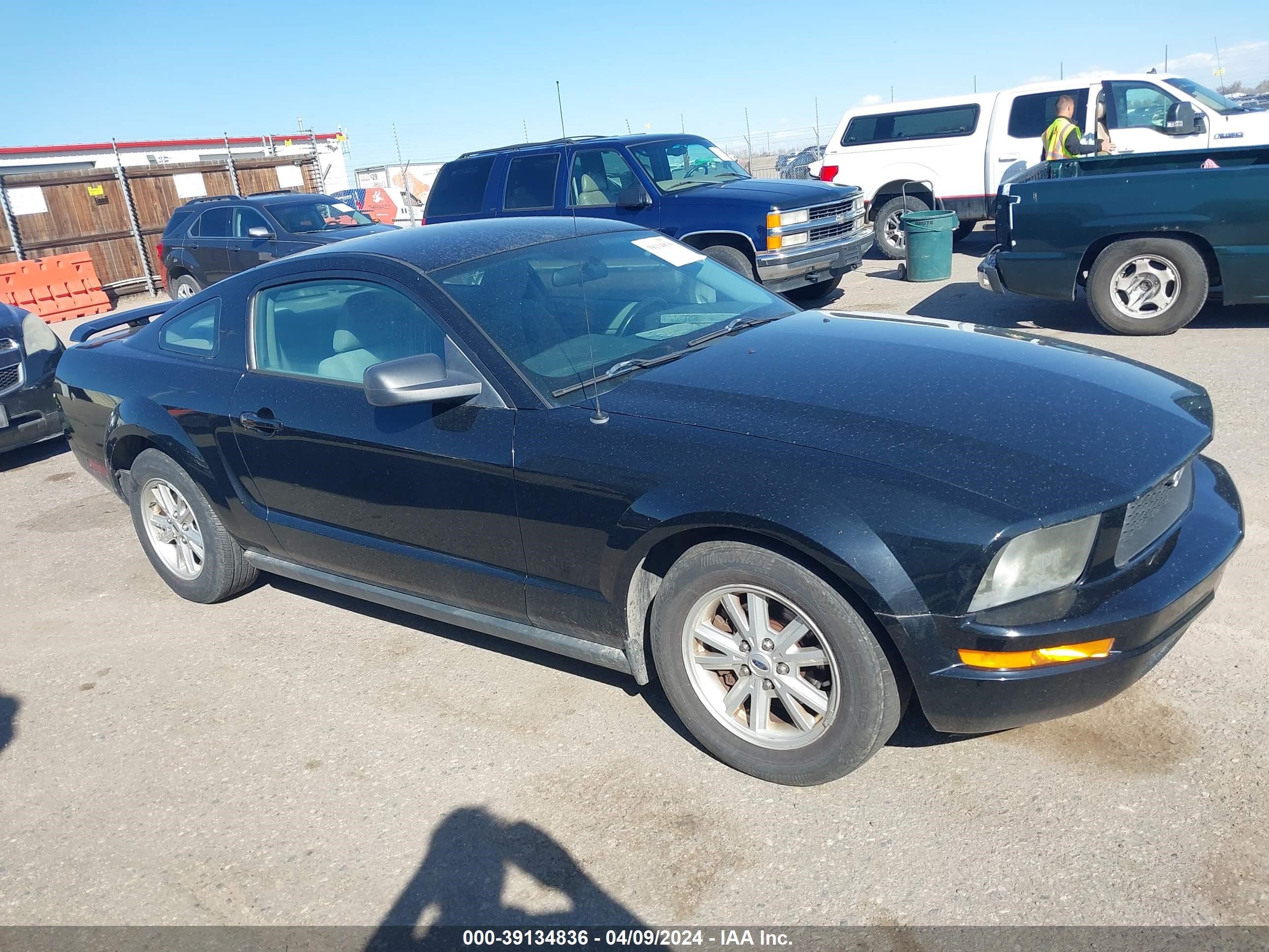 ford mustang 2005 1zvft80n055239289