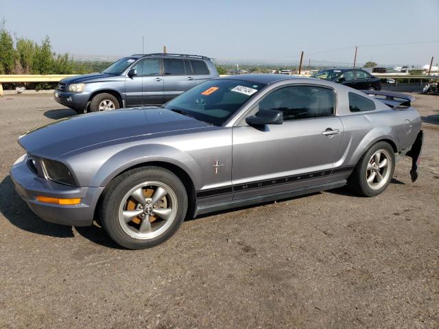 ford mustang 2006 1zvft80n065134513