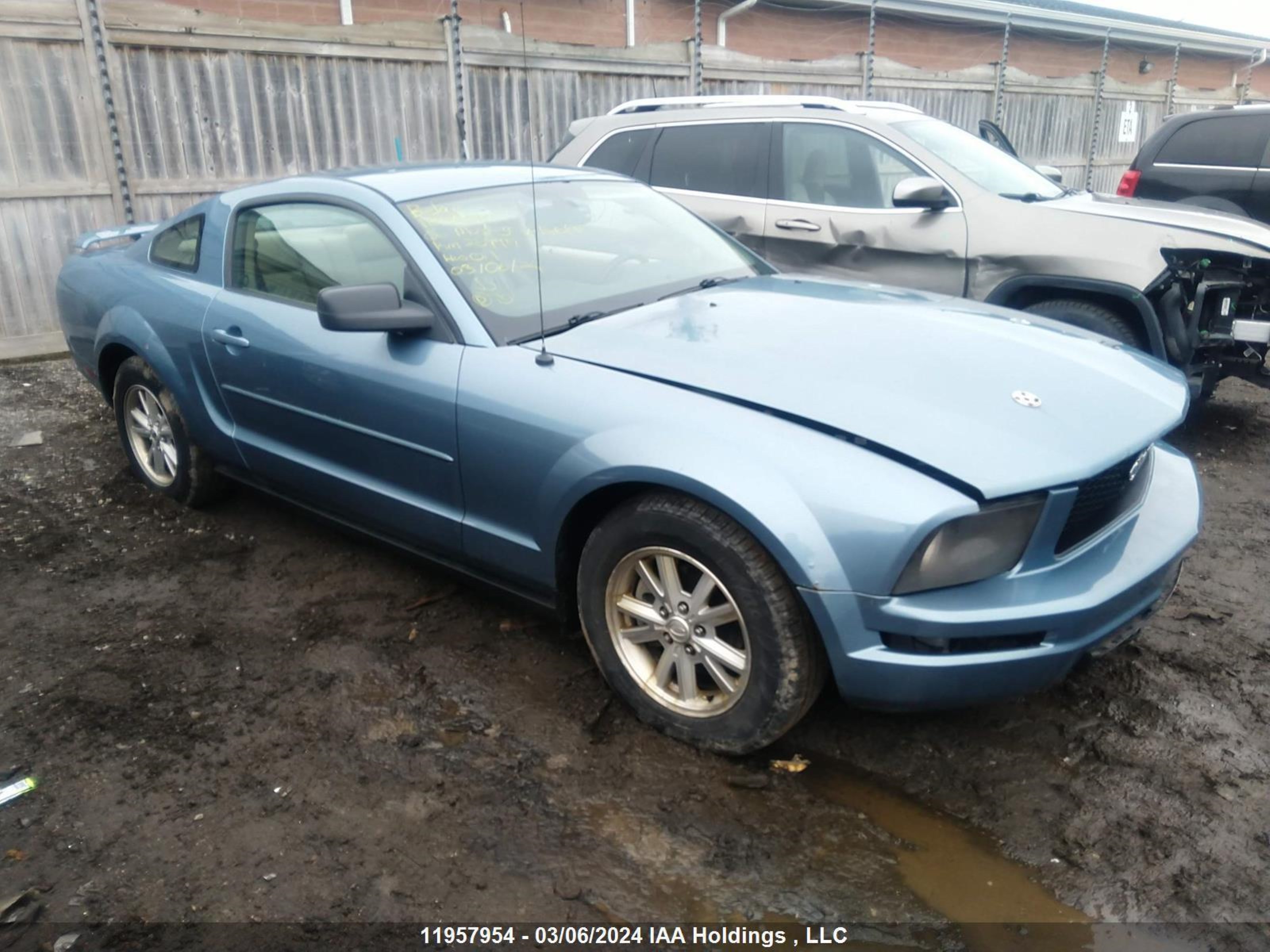 ford mustang 2006 1zvft80n065146841