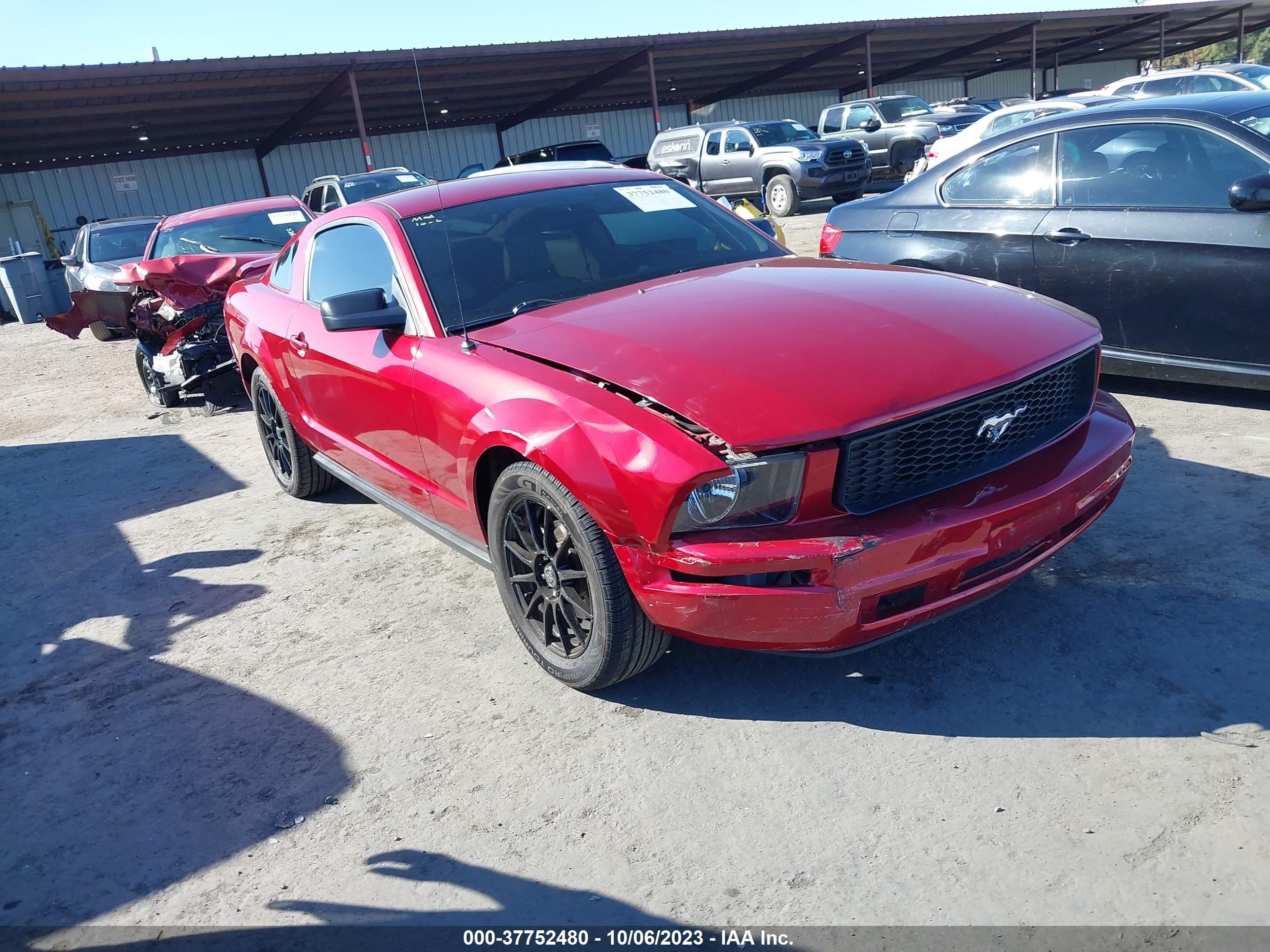 ford mustang 2006 1zvft80n065152140