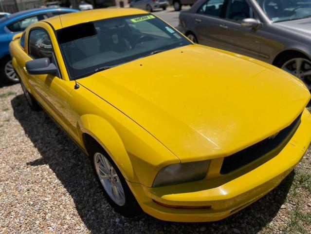 ford mustang 2006 1zvft80n065152848