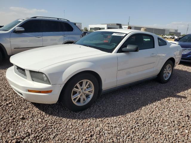 ford mustang 2006 1zvft80n065202616