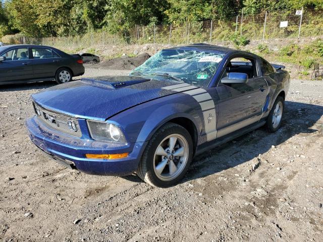 ford mustang 2007 1zvft80n075258556