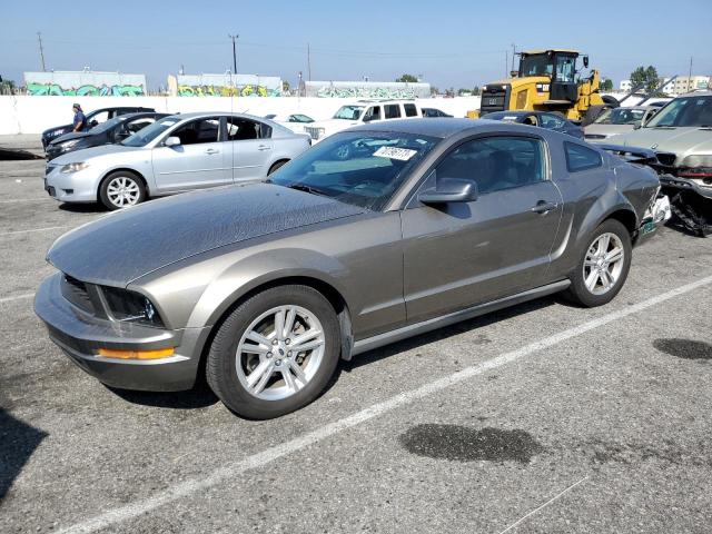 ford mustang 2005 1zvft80n155125334
