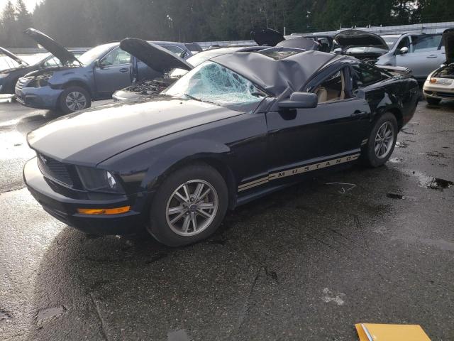 ford mustang 2005 1zvft80n155136141