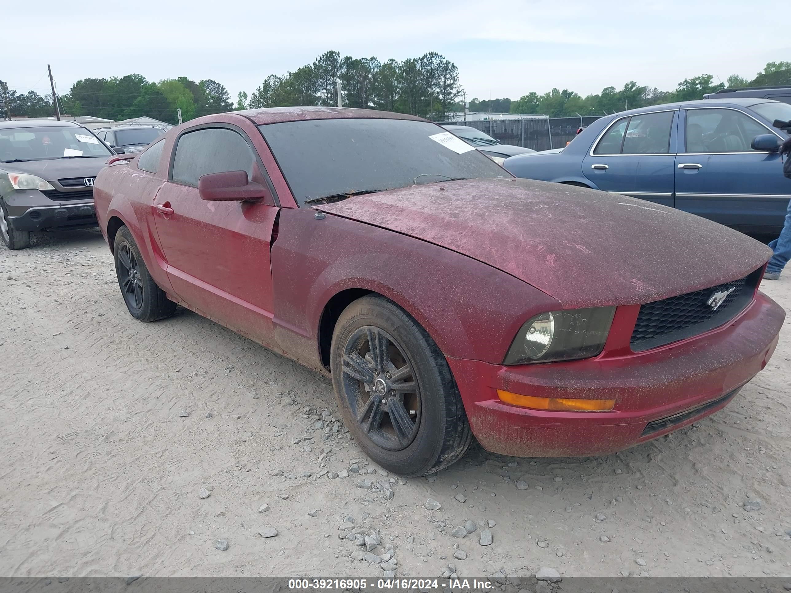 ford mustang 2005 1zvft80n155145843