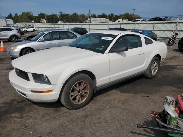 ford mustang 2005 1zvft80n155178535