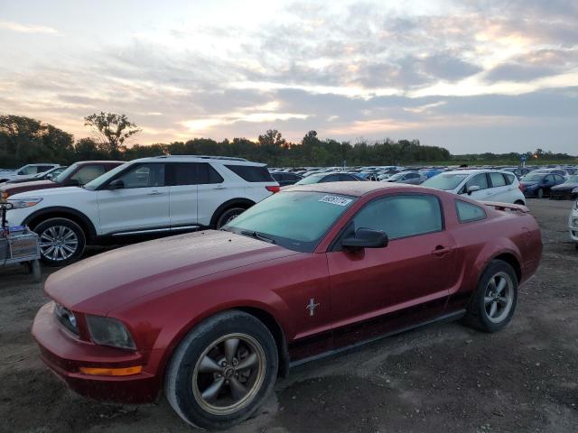 ford mustang 2006 1zvft80n165148565