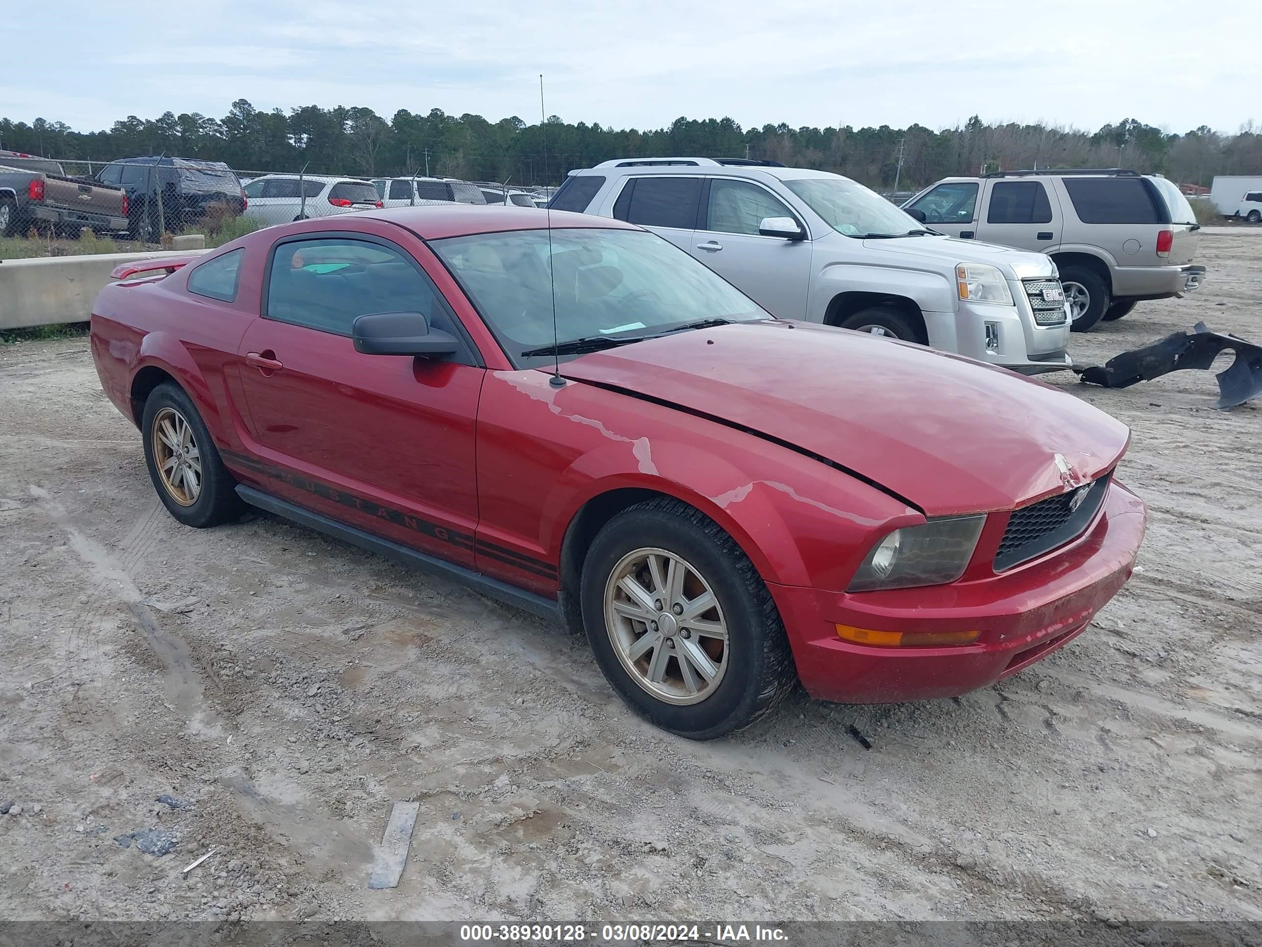 ford mustang 2006 1zvft80n165178603