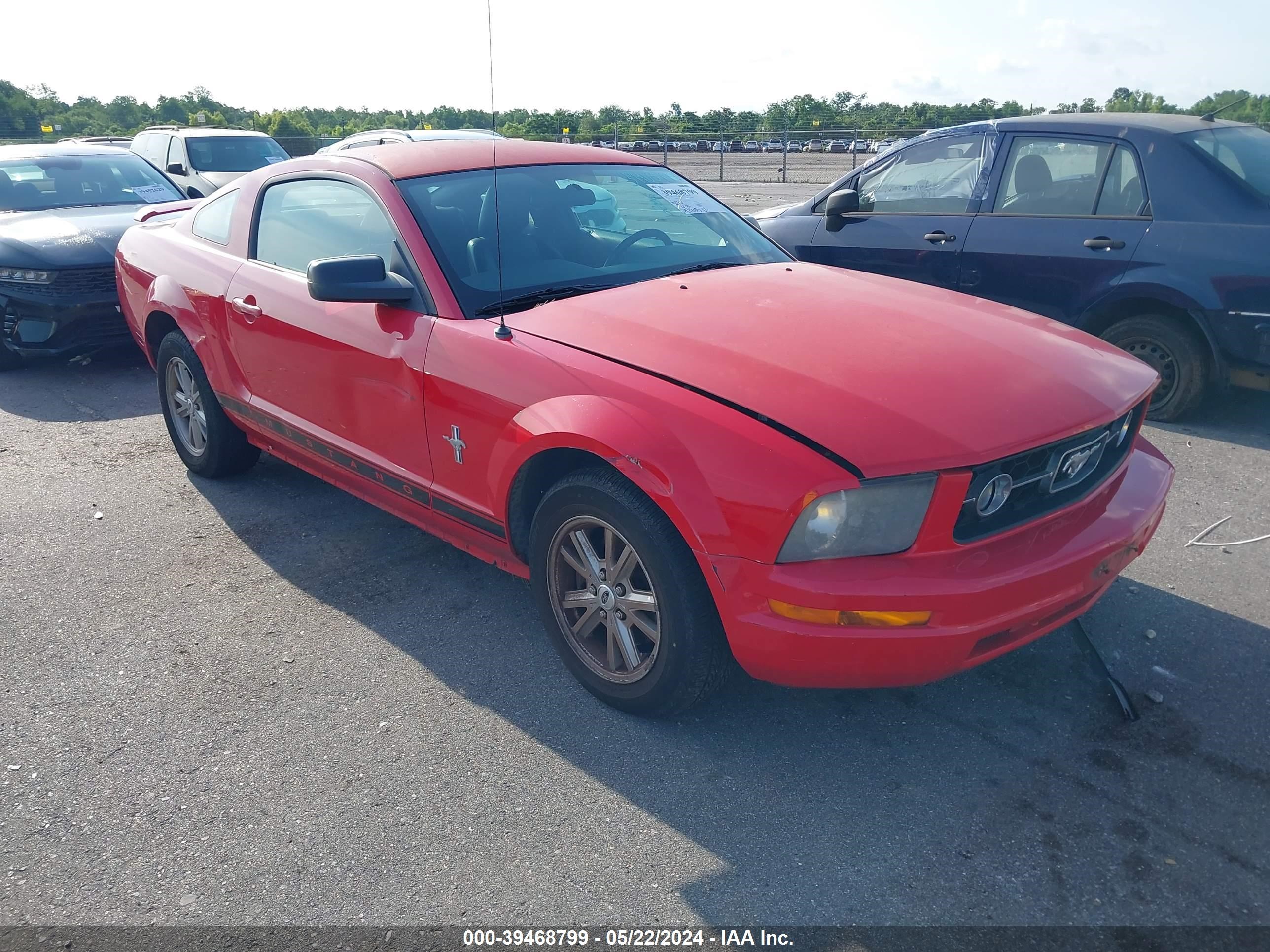 ford mustang 2006 1zvft80n165185518