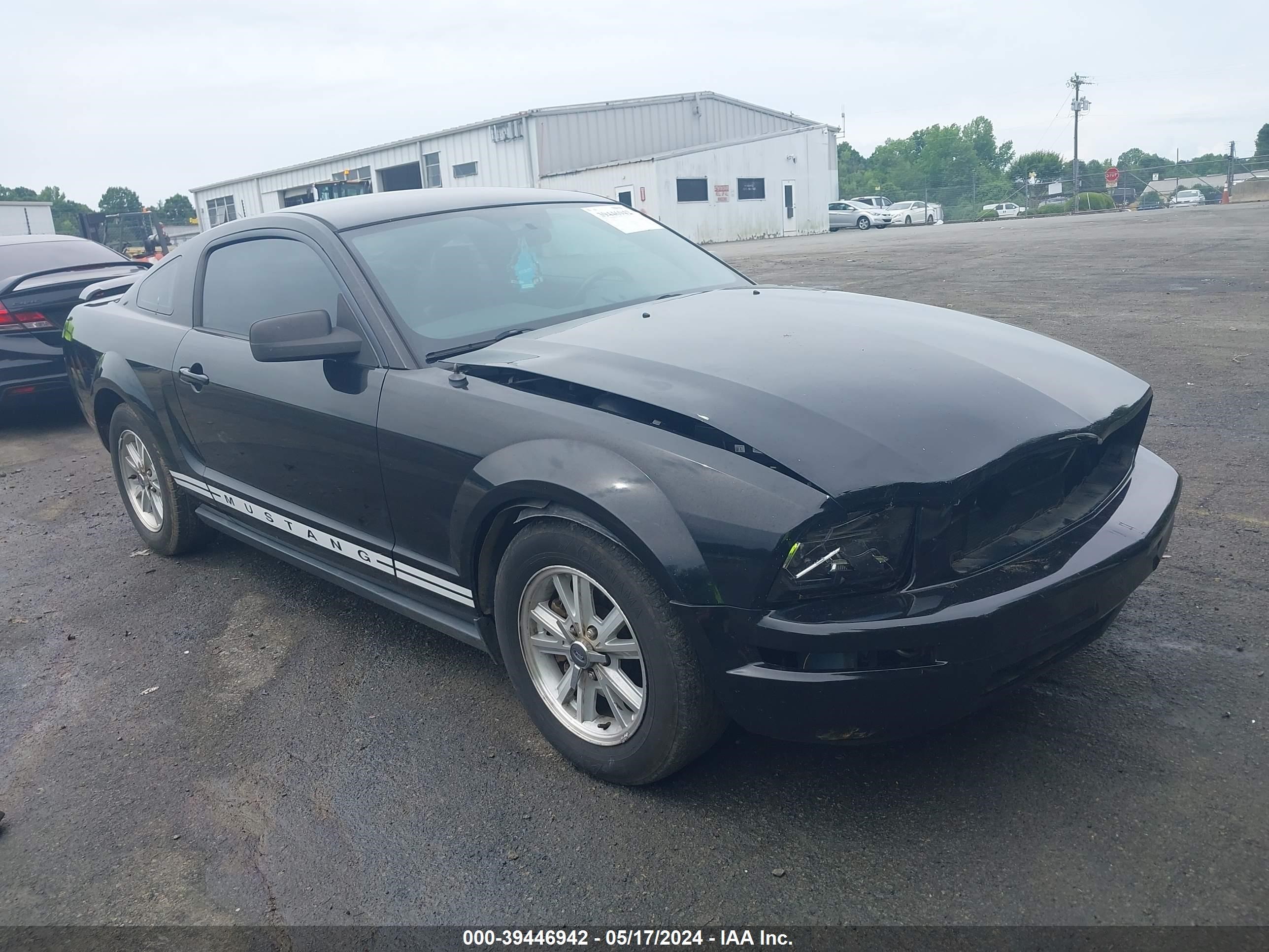 ford mustang 2006 1zvft80n165187737
