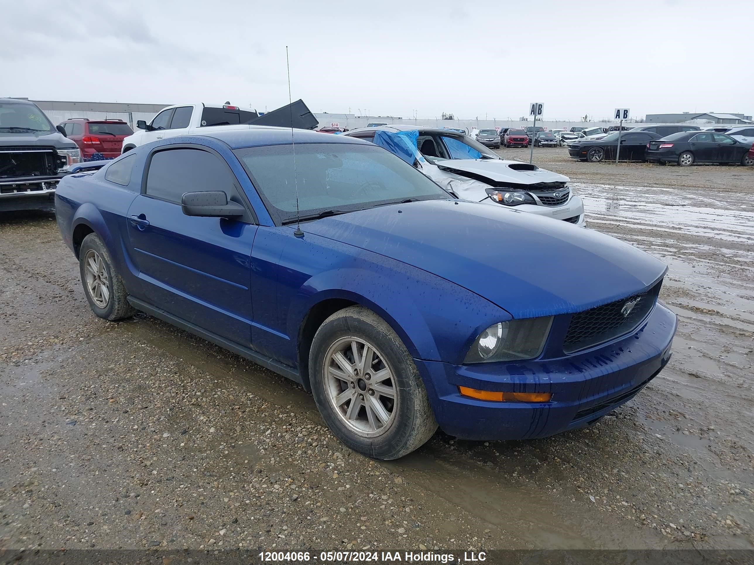 ford mustang 2006 1zvft80n165229744